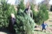 resIMG_20121124_3821.JPG
